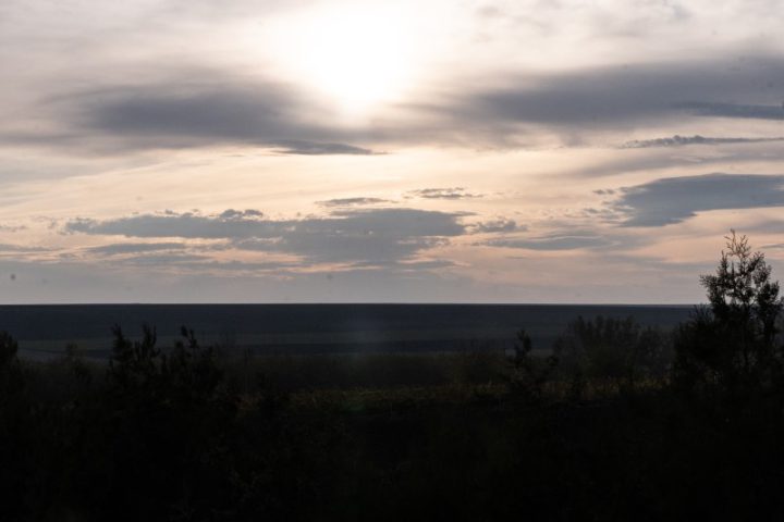 XDQ06434