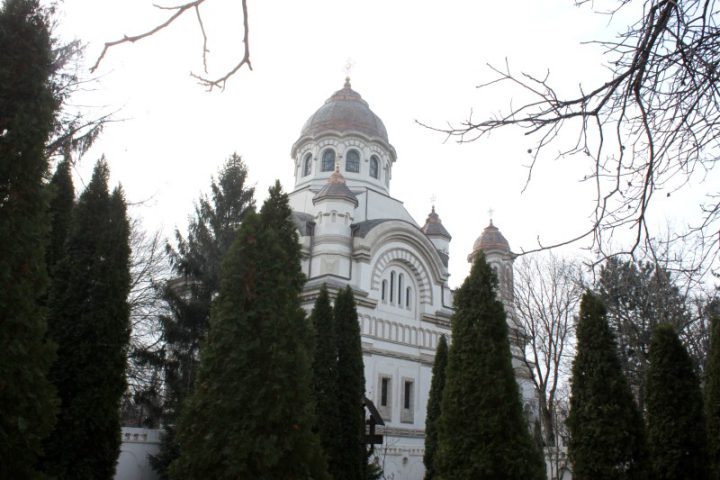 IMG 1510