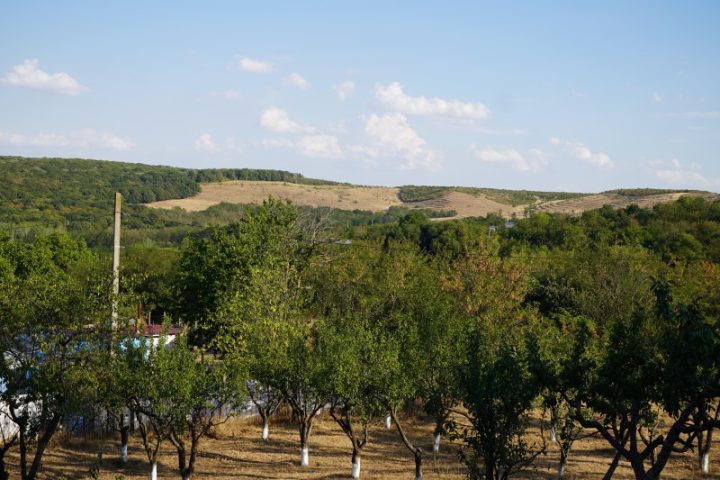 ADJ03600