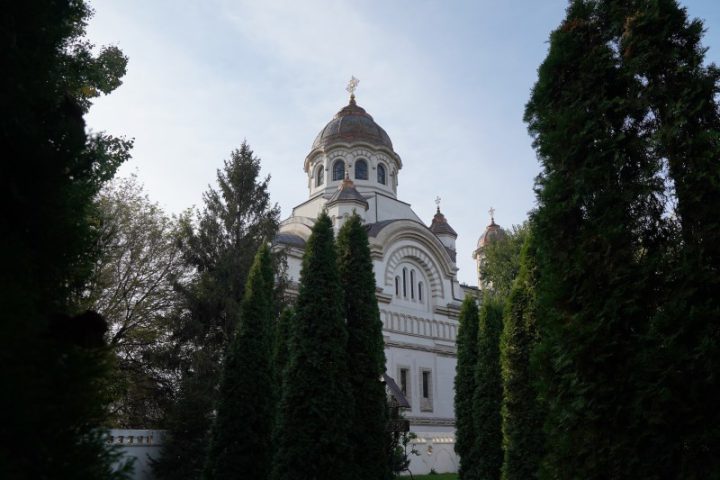 ADJ05124