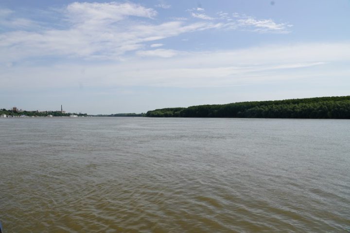 ADJ01429