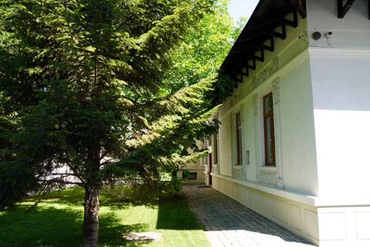 ADJ01881