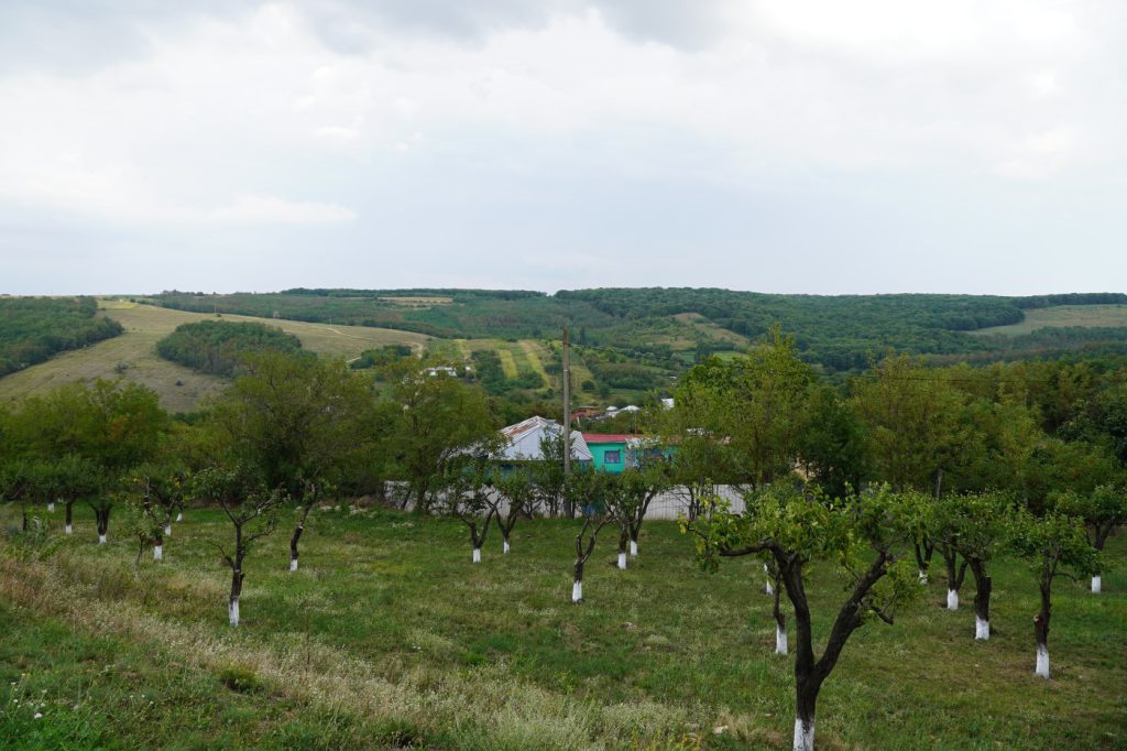 ADJ04469