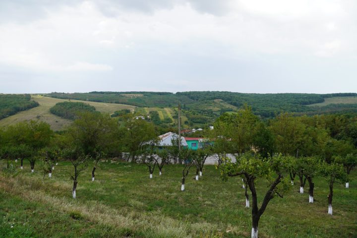 ADJ04469