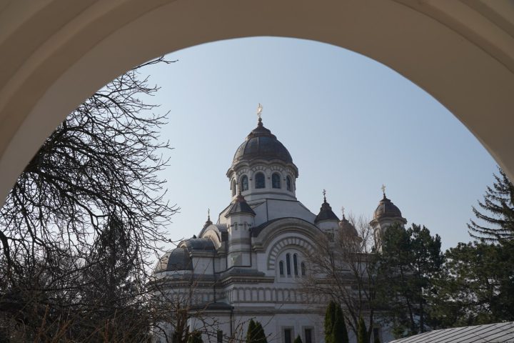 DSC00710