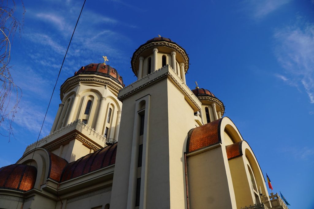 DSC00806
