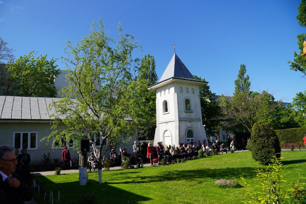 DSC04565