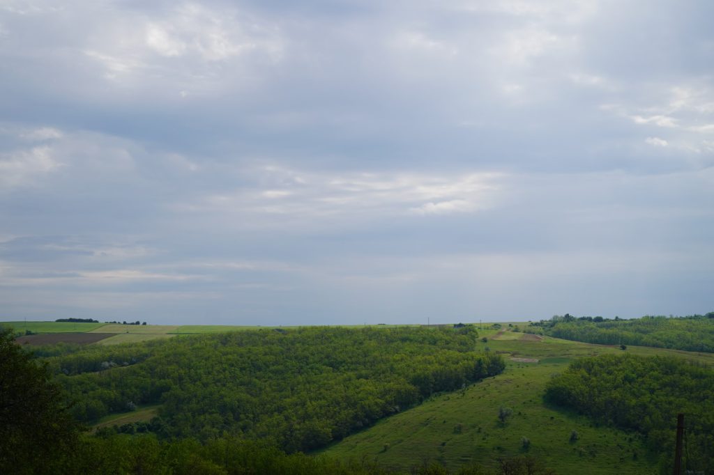 DSC05591