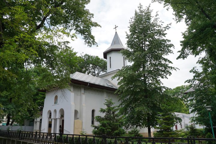 DSC06118