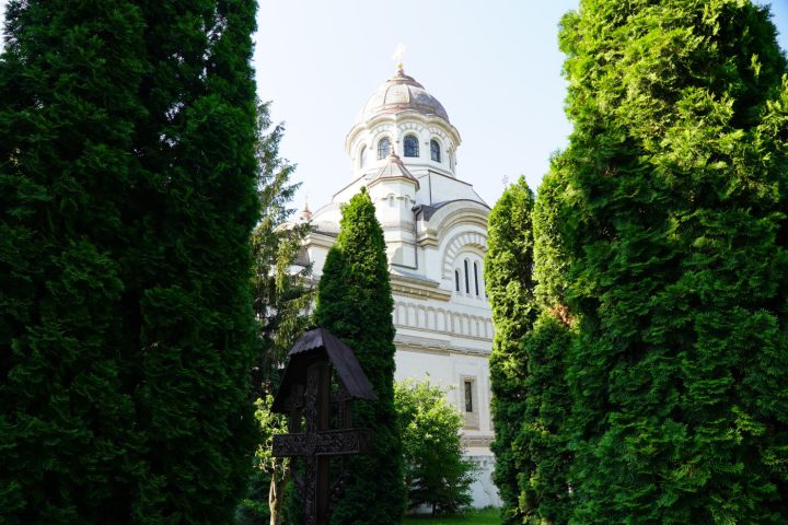 DSC06334
