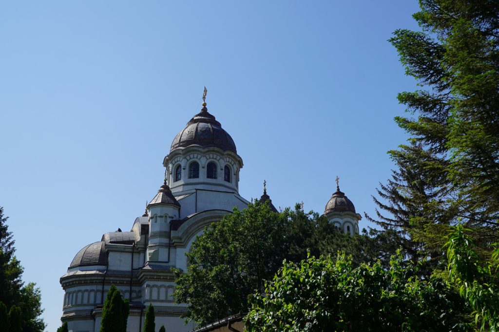 DSC06368