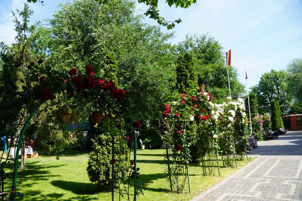 DSC06659
