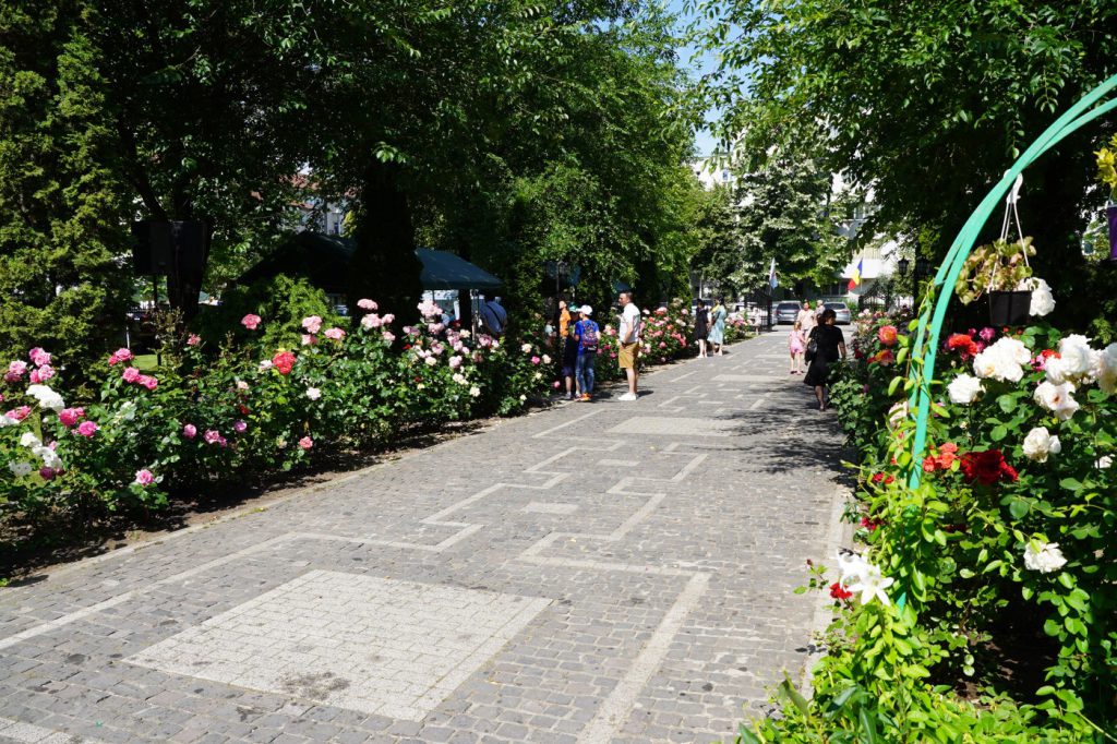 DSC06661