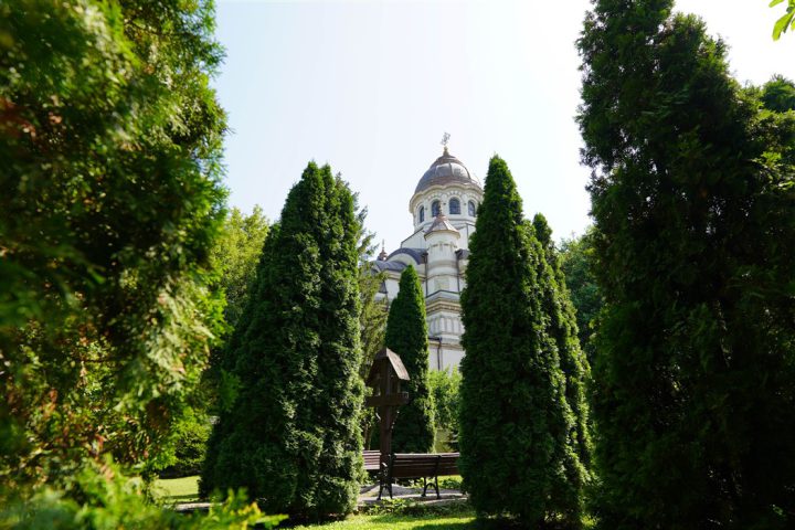 DSC08142