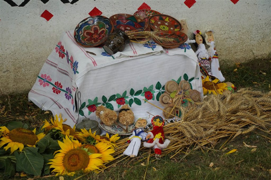 DSC08337