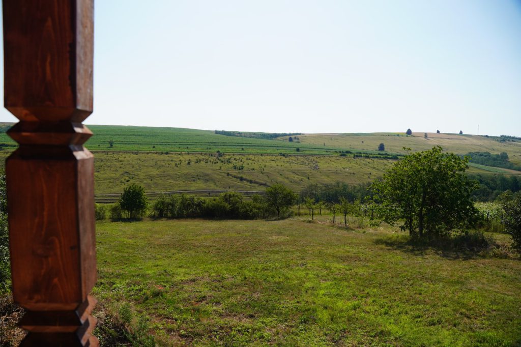 DSC08470