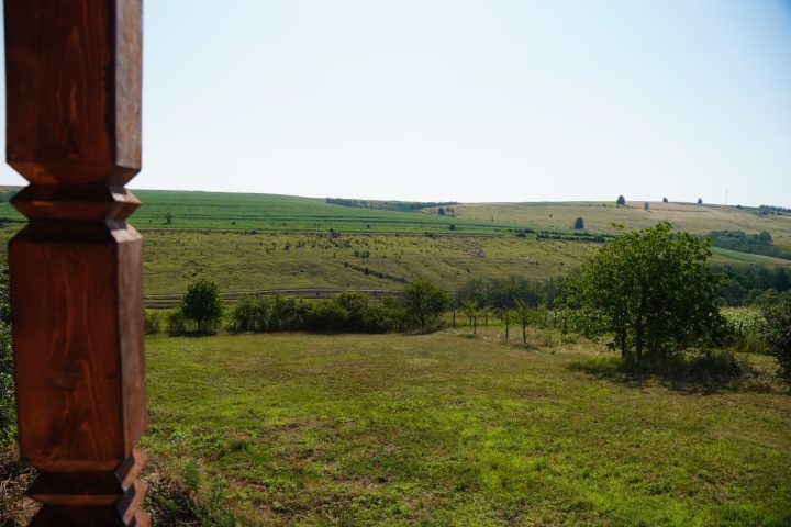 DSC08470