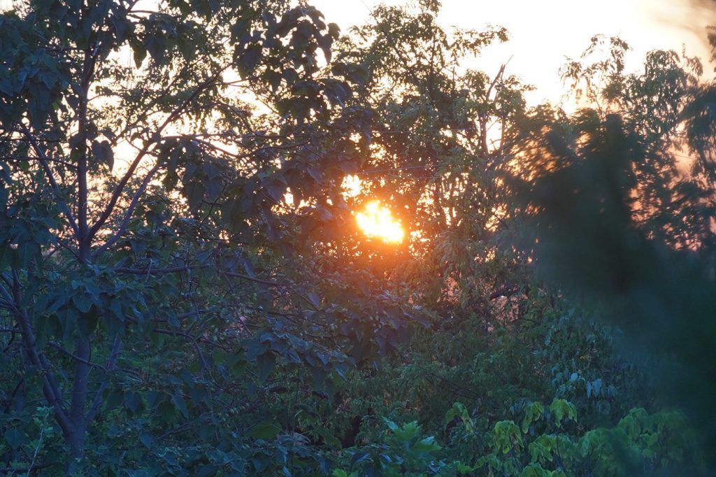 DSC09301
