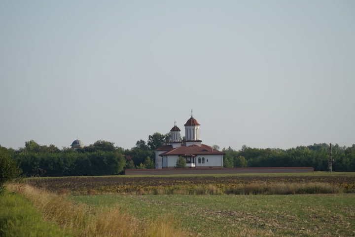 DSC09463