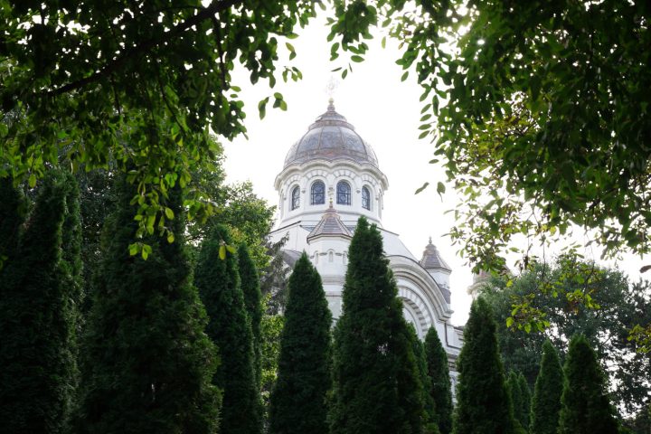 DSC02590
