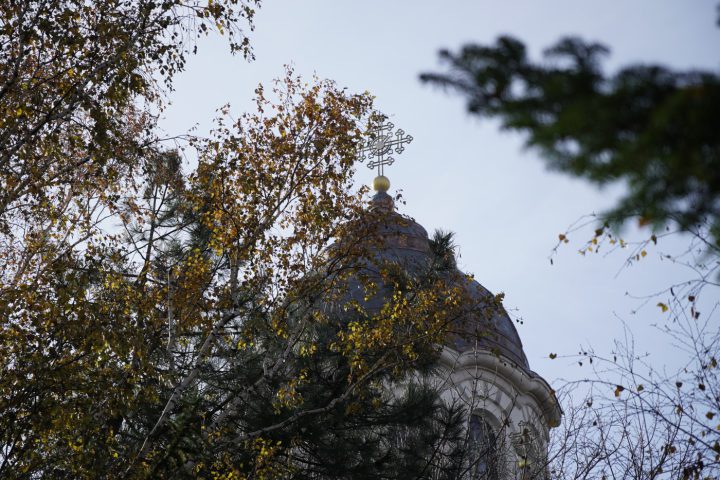 DSC00042