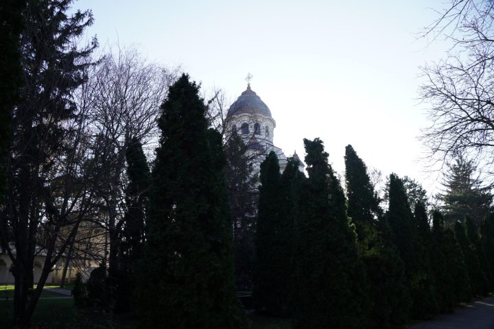 DSC09561