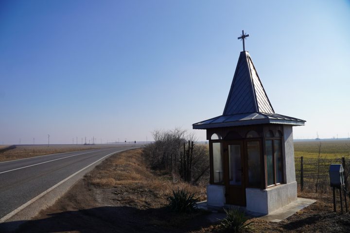 DSC03742