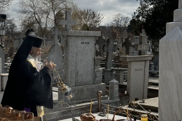IMG 3744