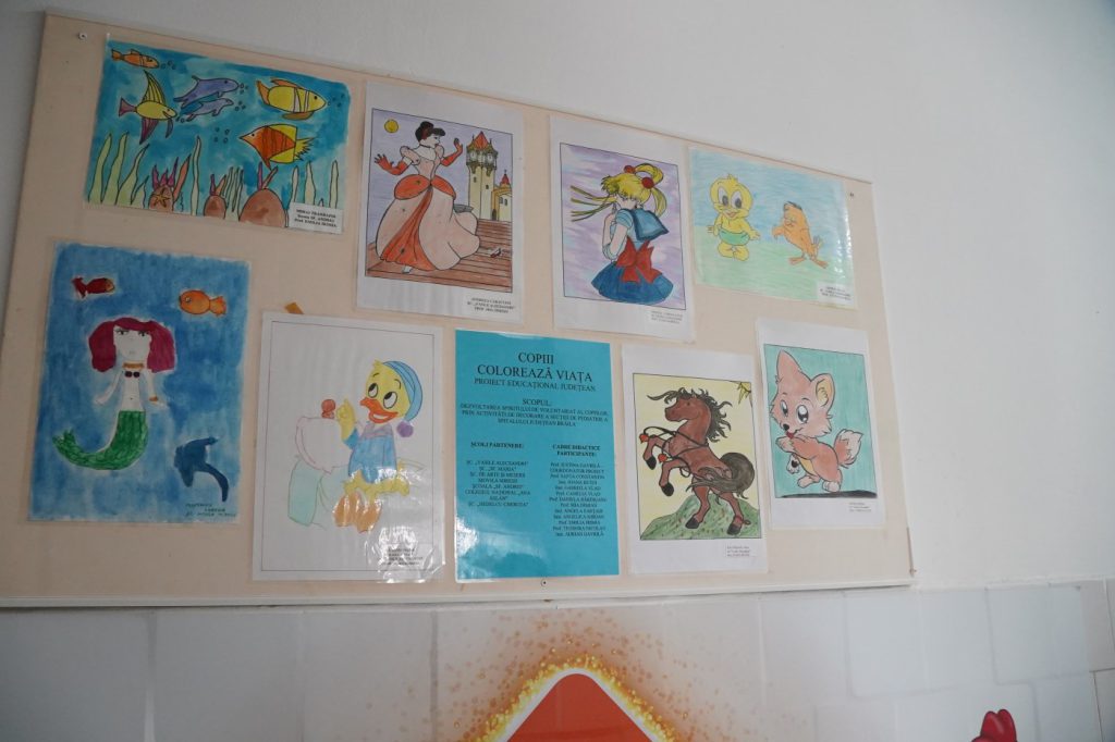 DSC00520