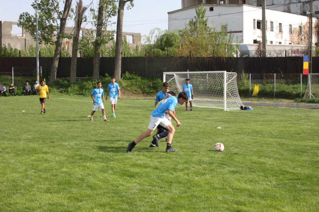 IMG 7431