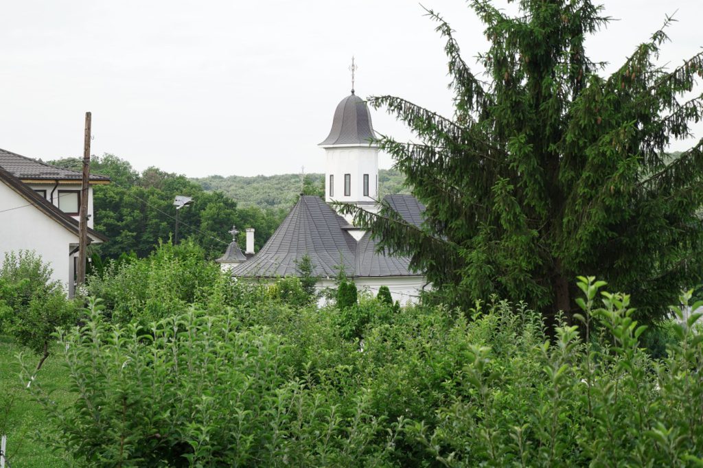 DSC07677