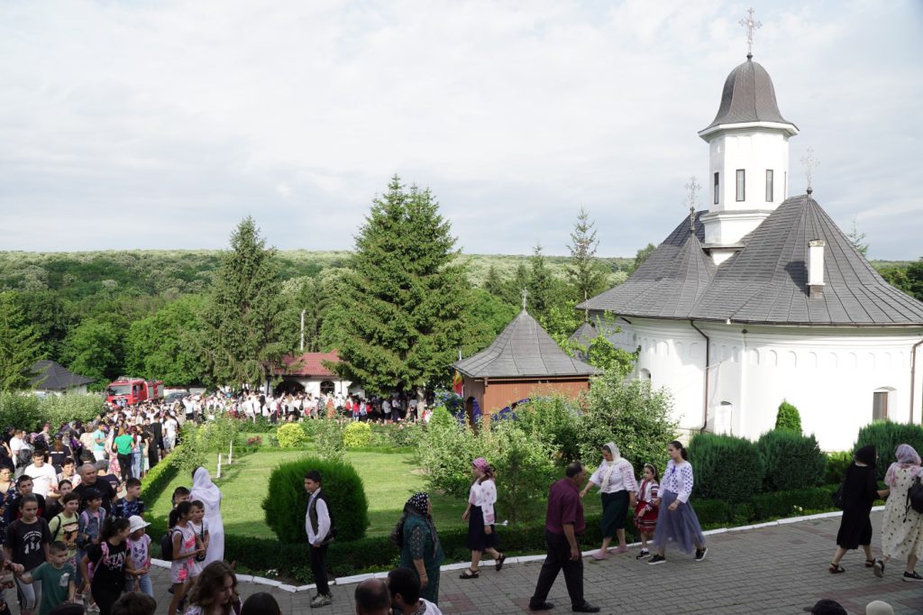 DSC07694