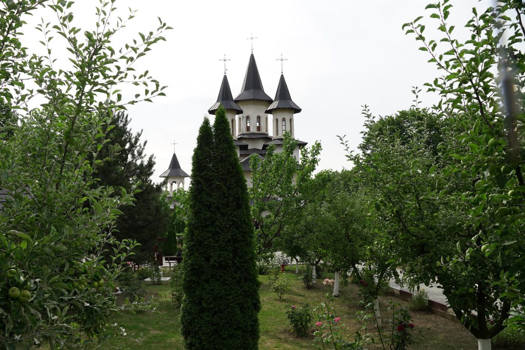 DSC09183