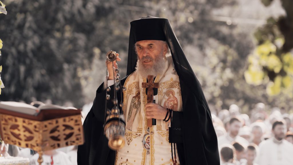 ADJ ADAM 08786