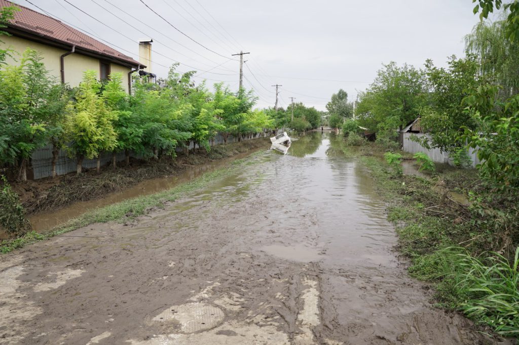 DSC04443