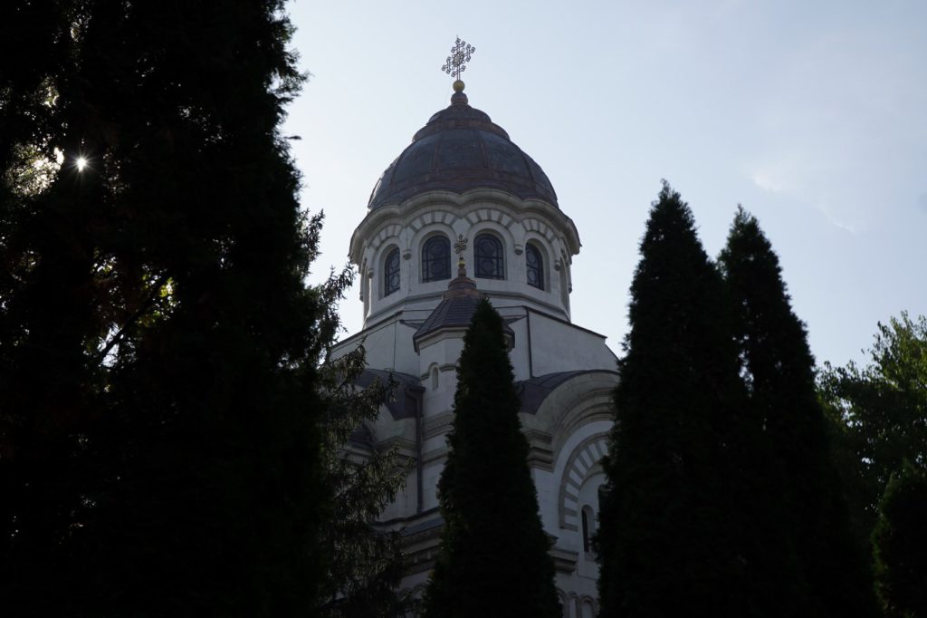 DSC09733