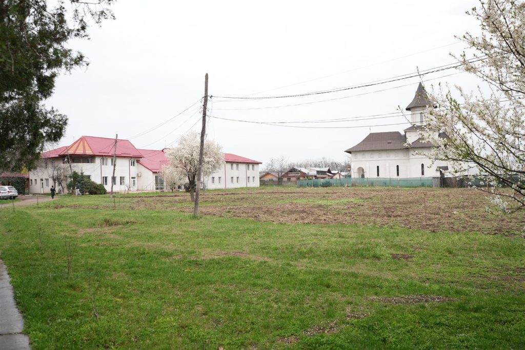 DSC08376