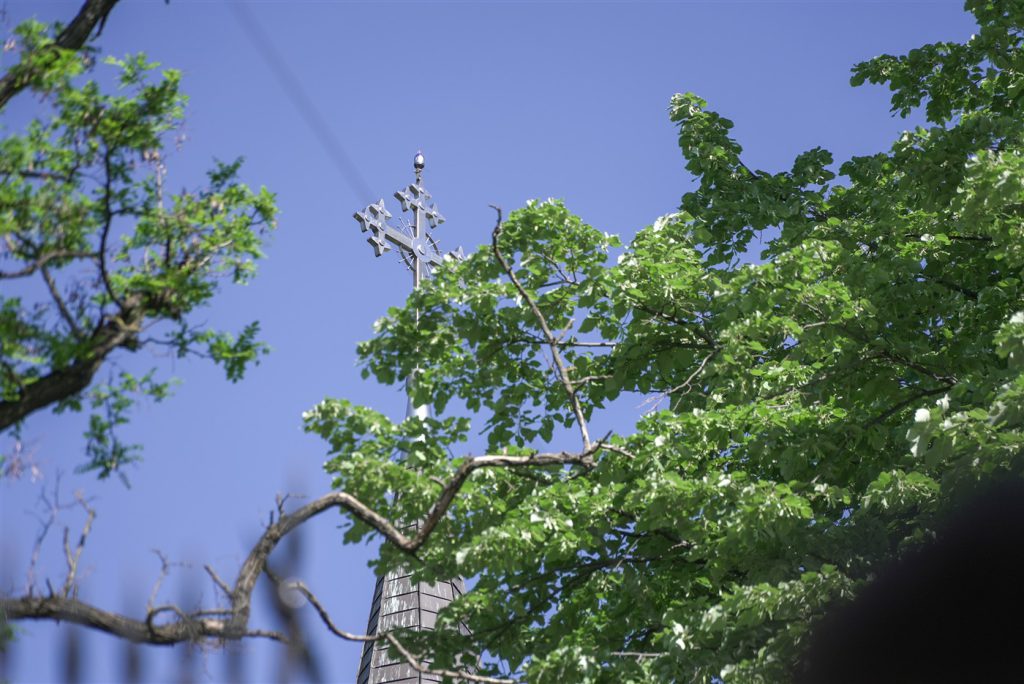 DSC03557
