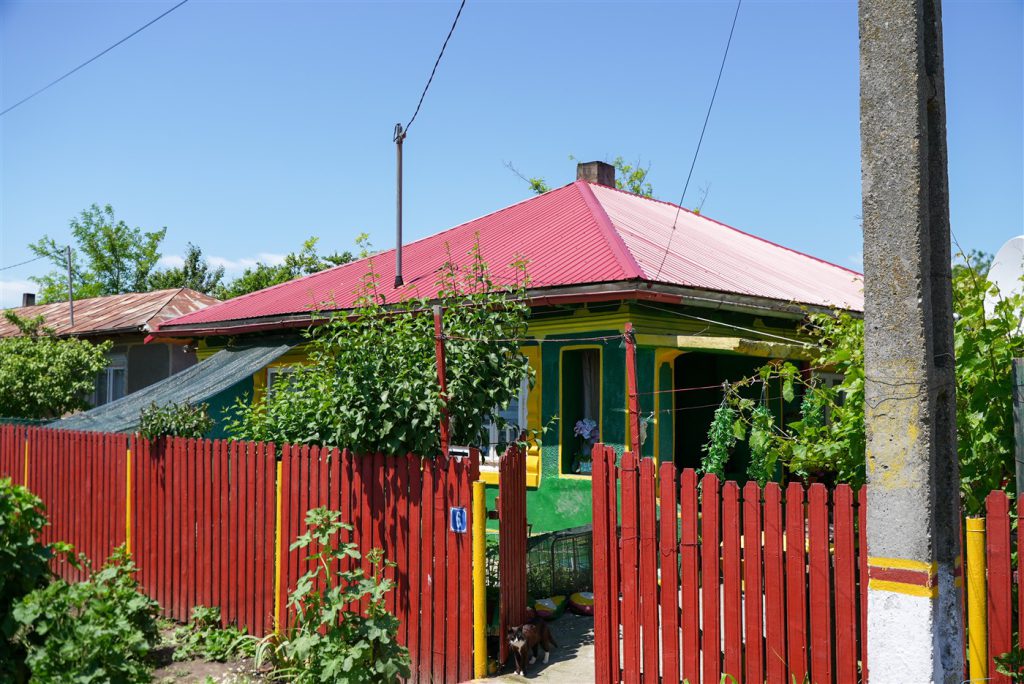 DSC08766