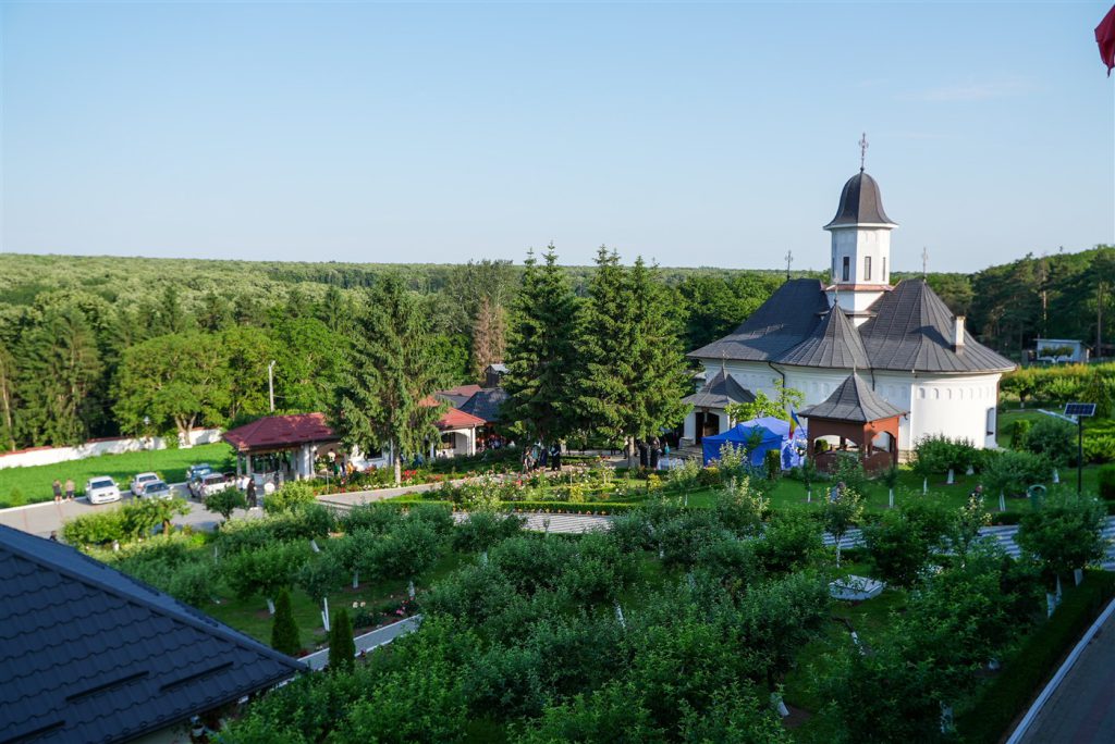 DSC00132