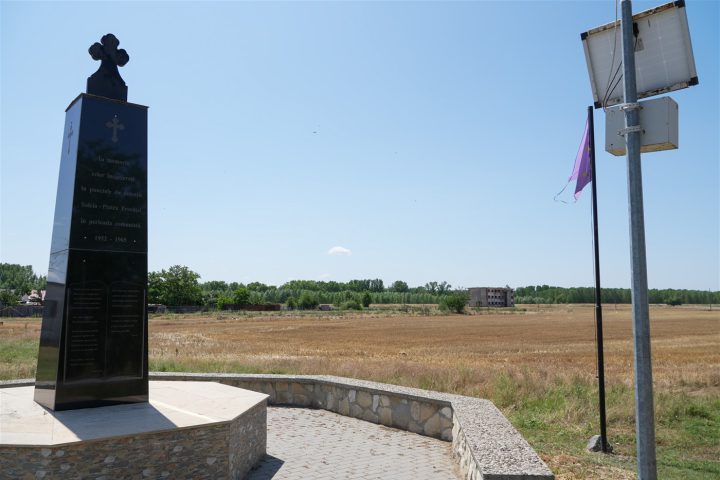 DSC02211