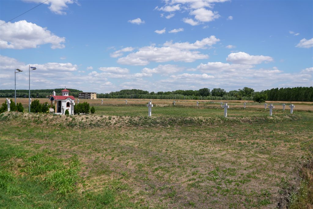 DSC02548