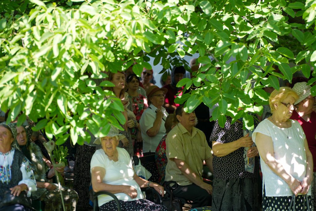 DSC05539