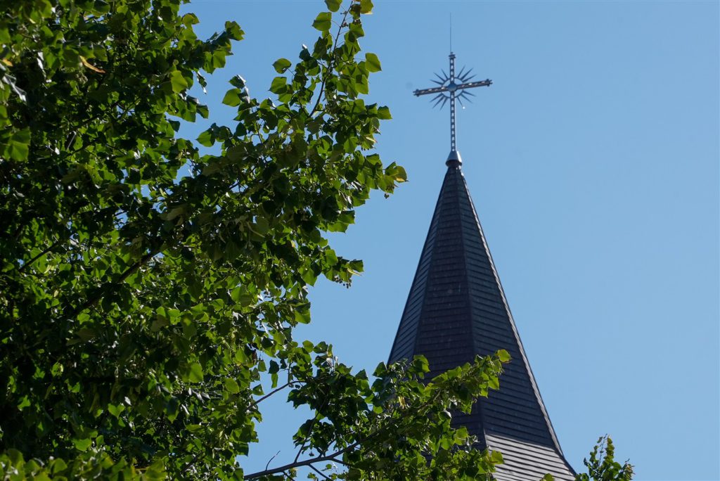 DSC08066
