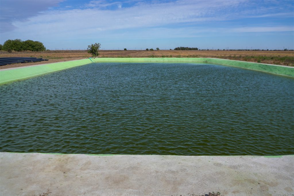DSC01697