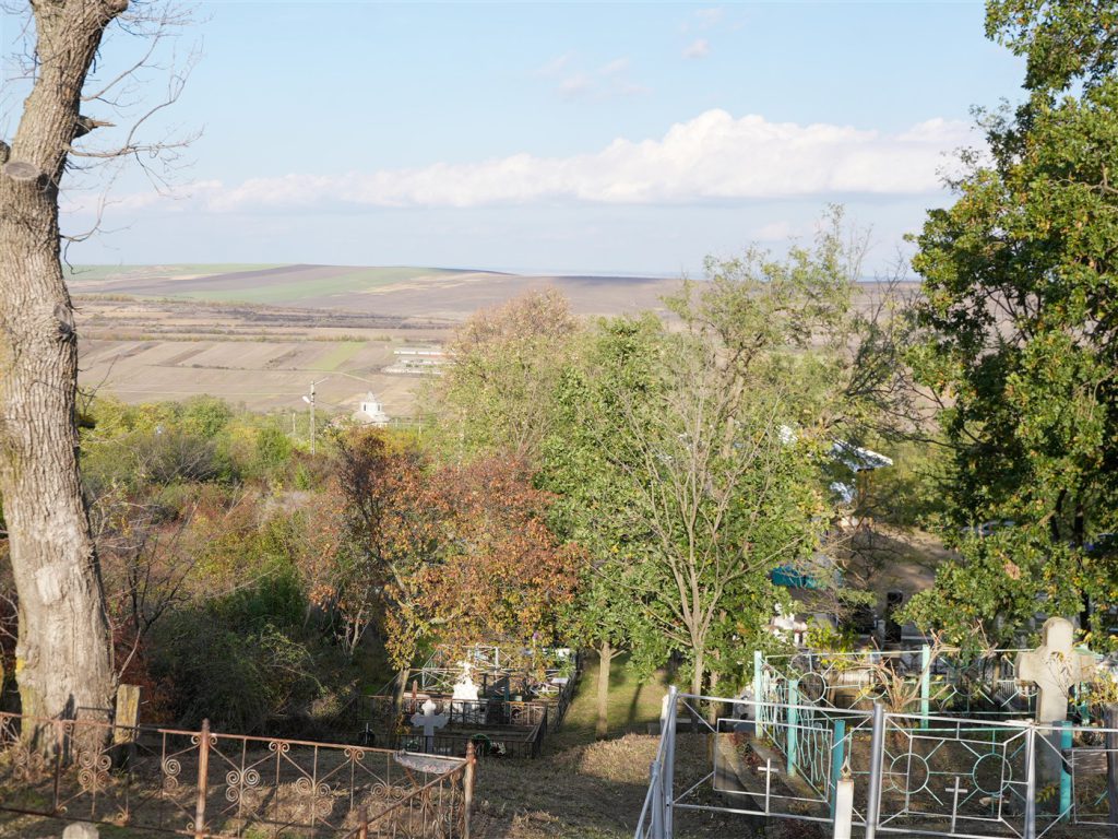 DSC04471