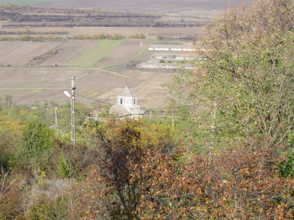DSC04474