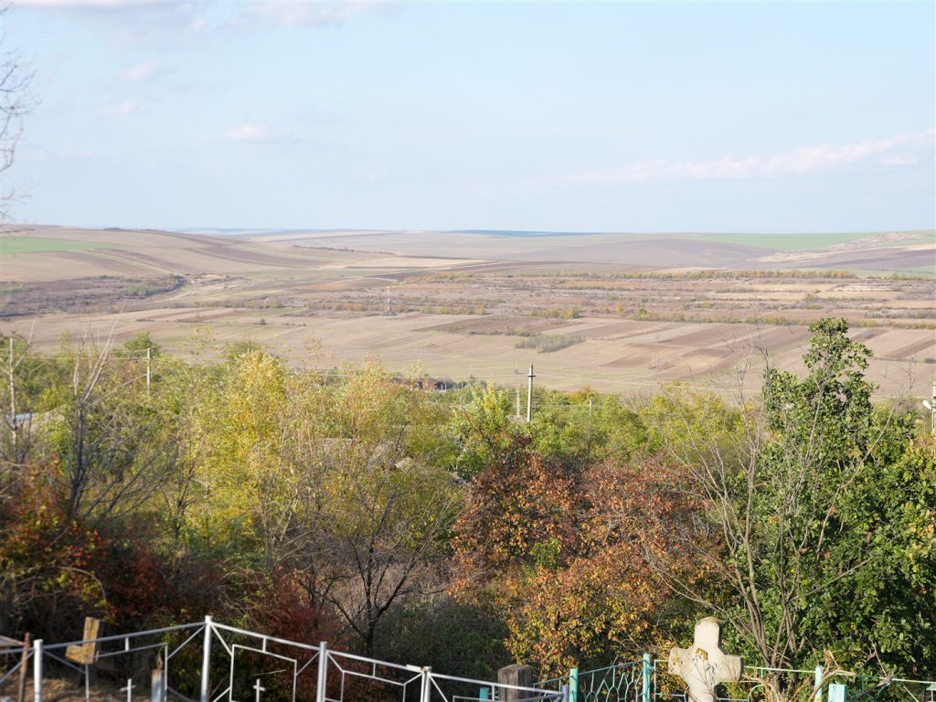 DSC04475