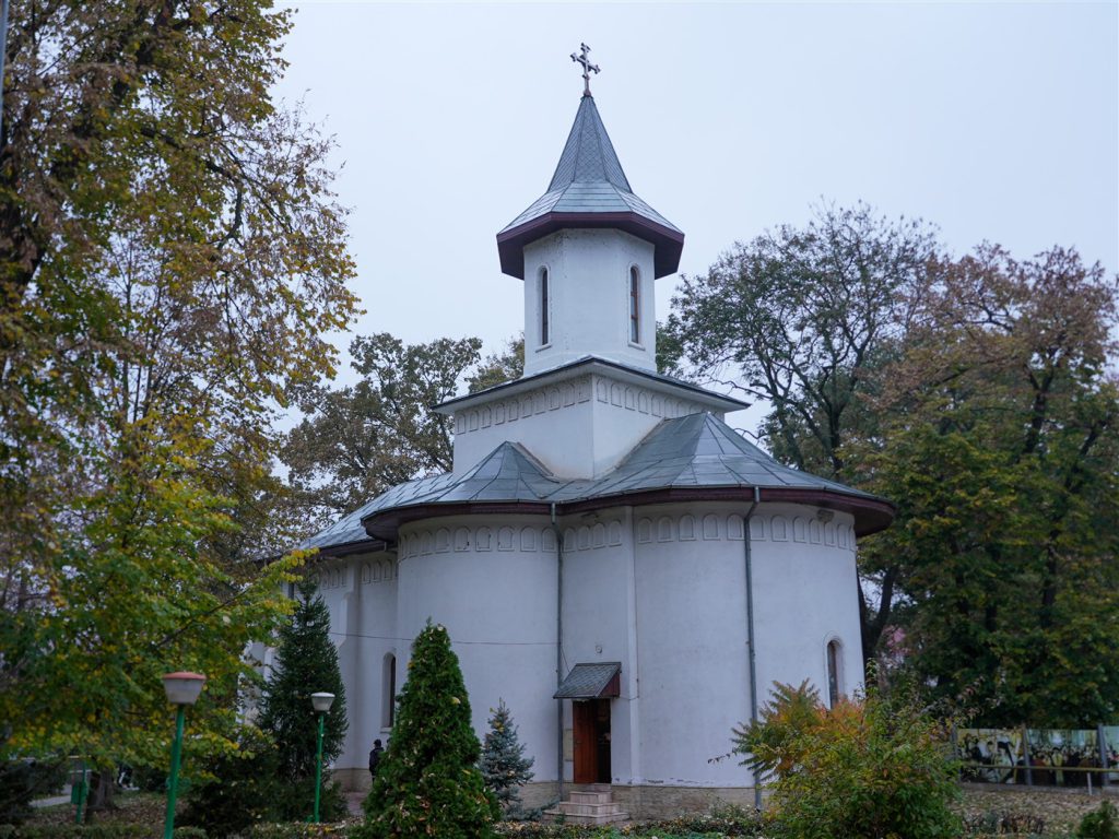 DSC04503