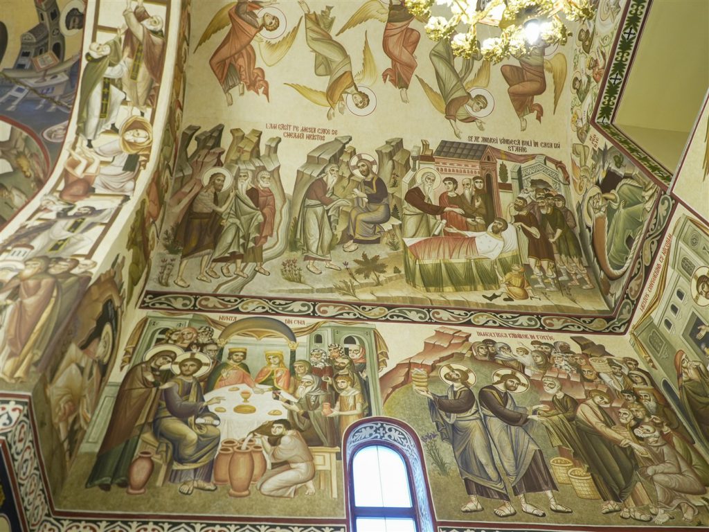 DSC00733